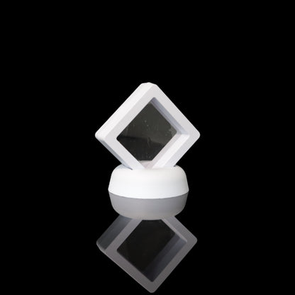 Pearl Collectors Display With Stand (10 Pack)